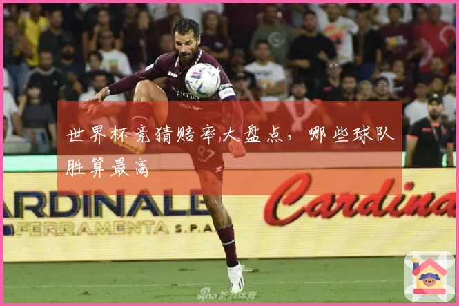 世界杯竞猜赔率大盘点，哪些球队胜算最高