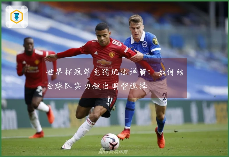 世界杯冠军竞猜玩法详解：如何结合球队实力做出明智选择