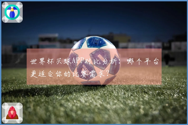 世界杯买球APP对比分析：哪个平台更适合你的比赛需求？
