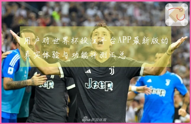 用户对世界杯投注平台APP最新版的真实体验与功能评测汇总