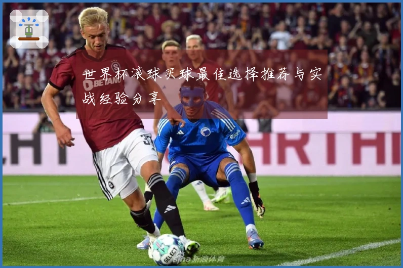 世界杯滚球买球最佳选择推荐与实战经验分享