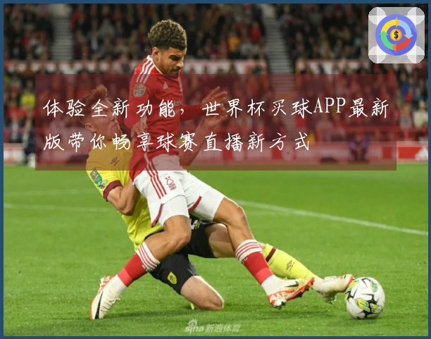 体验全新功能，世界杯买球APP最新版带你畅享球赛直播新方式