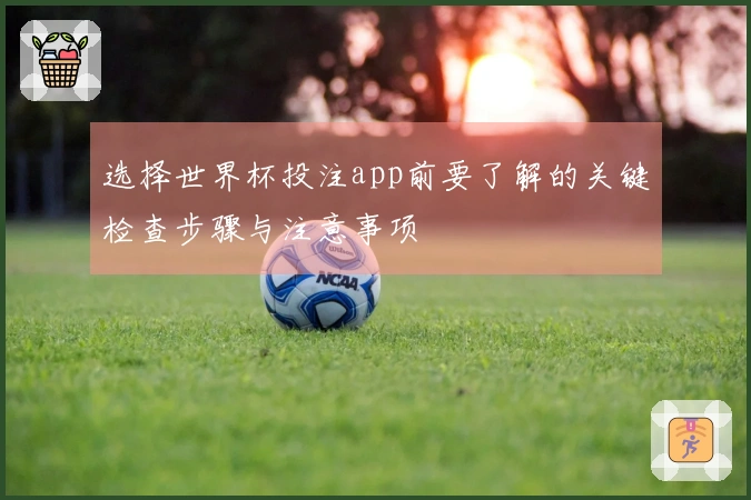 选择世界杯投注app前要了解的关键检查步骤与注意事项