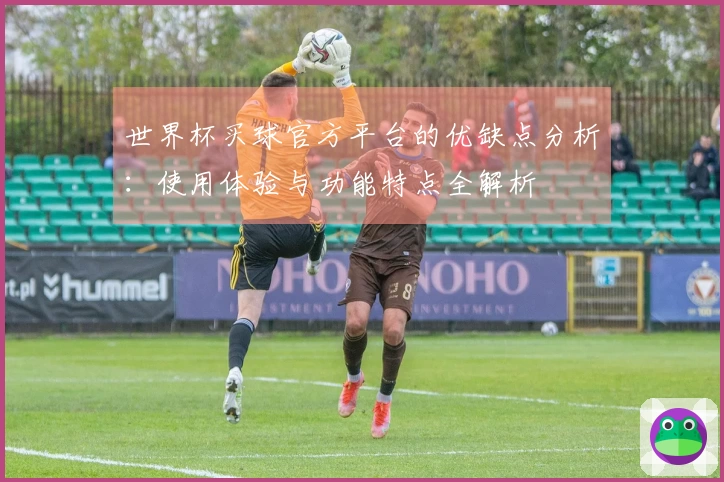 世界杯买球官方平台的优缺点分析：使用体验与功能特点全解析