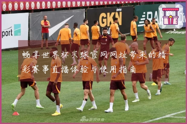 畅享世界杯买球官网网址带来的精彩赛事直播体验与使用指南