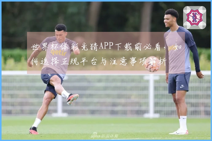 世界杯体彩竞猜APP下载前必看，如何选择正规平台与注意事项解析