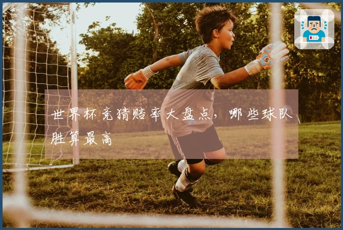 世界杯竞猜赔率大盘点，哪些球队胜算最高