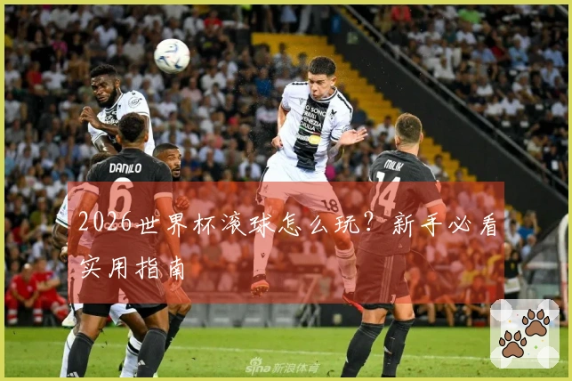 2026世界杯滚球怎么玩？新手必看实用指南
