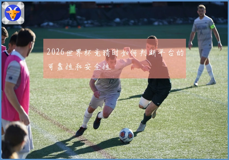 2026世界杯竞猜时如何判断平台的可靠性和安全性