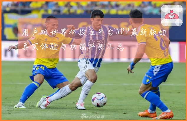 用户对世界杯投注平台APP最新版的真实体验与功能评测汇总
