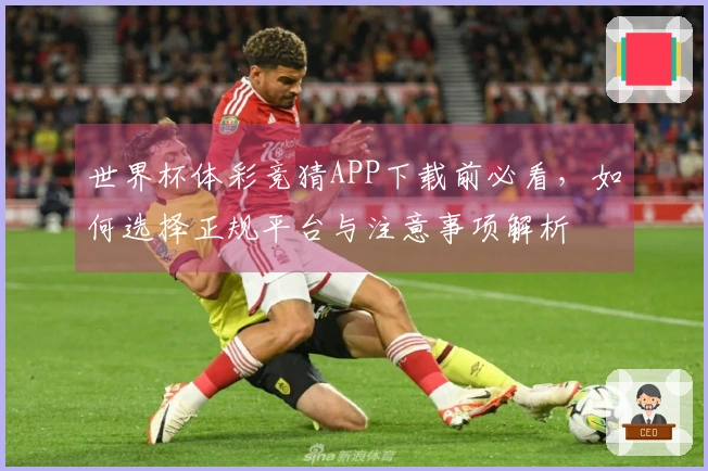 世界杯体彩竞猜APP下载前必看，如何选择正规平台与注意事项解析